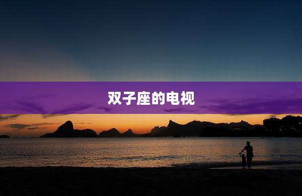 双子座的电视