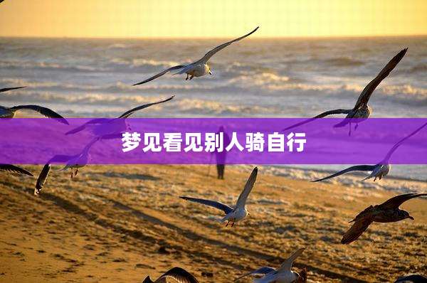 梦见看见别人骑自行