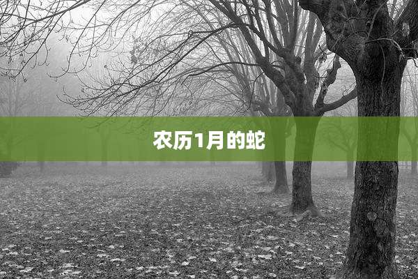 农历1月的蛇