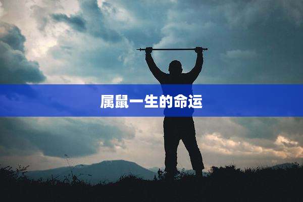 属鼠一生的命运