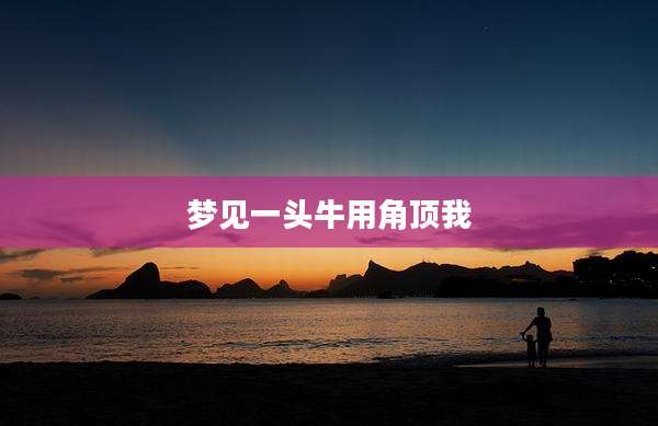 梦见一头牛用角顶我