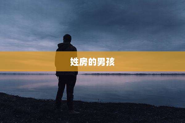 姓房的男孩