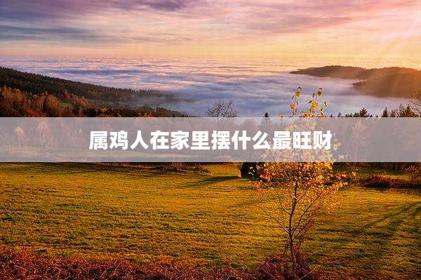 属鸡人在家里摆什么最旺财