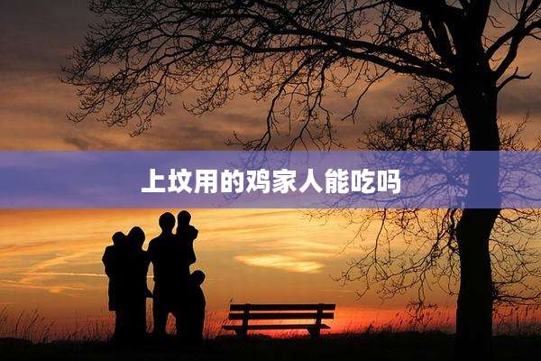 上坟用的鸡家人能吃吗