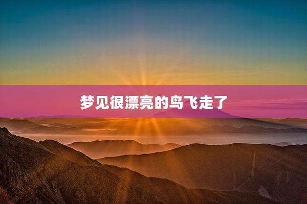 梦见很漂亮的鸟飞走了