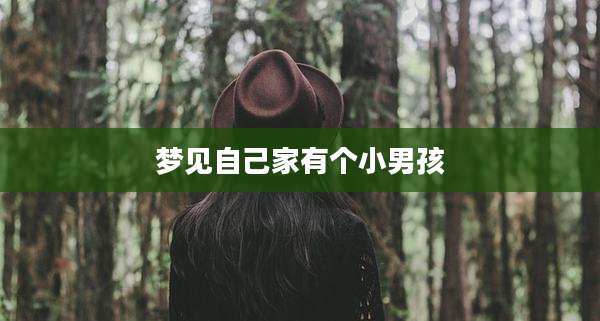 梦见自己家有个小男孩