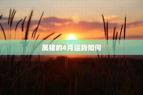 属猪的4月运势如何