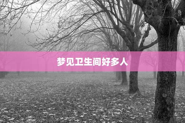 梦见卫生间好多人