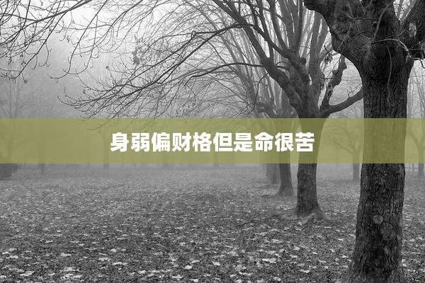 身弱偏财格但是命很苦