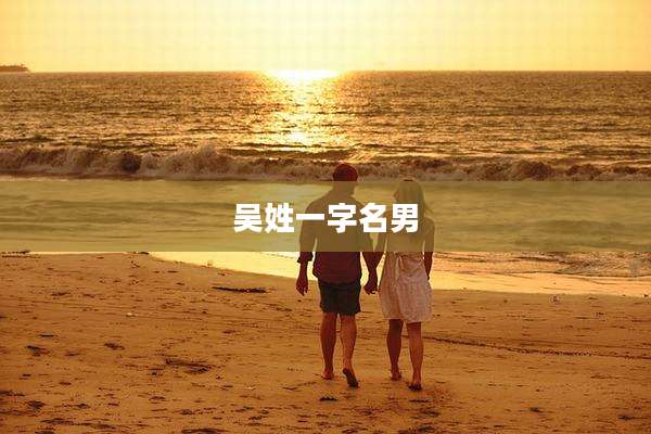 吴姓一字名男