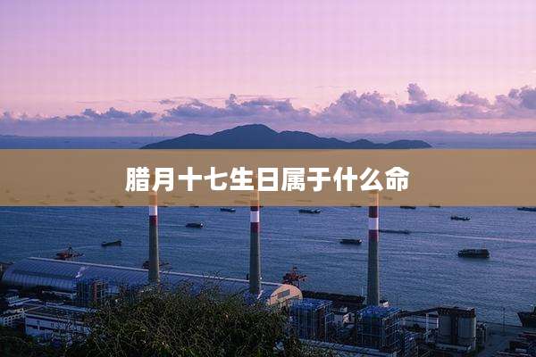腊月十七生日属于什么命