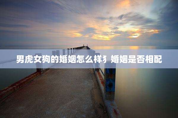 男虎女狗的婚姻怎么样犭婚姻是否相配