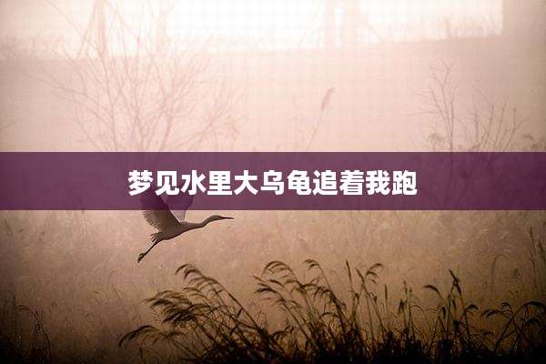 梦见水里大乌龟追着我跑