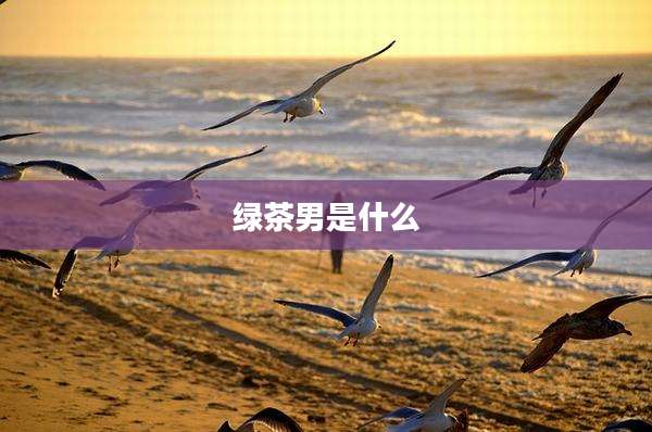 绿茶男是什么