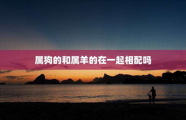 属狗的和属羊的在一起相配吗