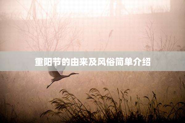 重阳节的由来及风俗简单介绍