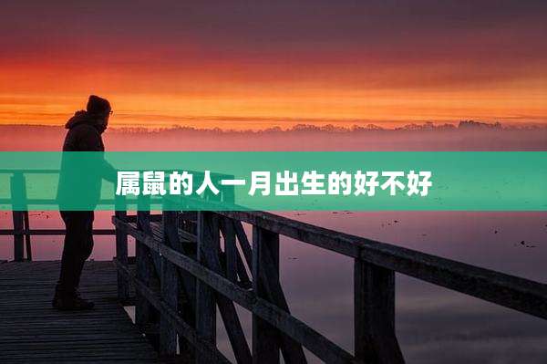 属鼠的人一月出生的好不好