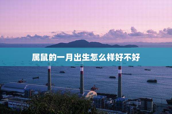 属鼠的一月出生怎么样好不好