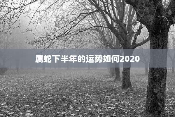 属蛇下半年的运势如何2020