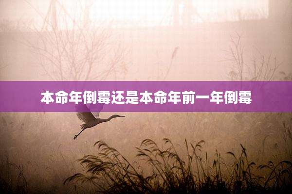 本命年倒霉还是本命年前一年倒霉