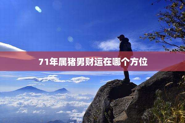 71年属猪男财运在哪个方位