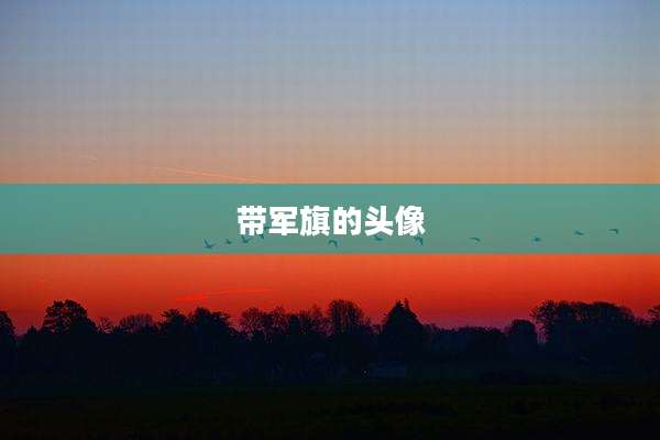 带军旗的头像
