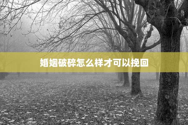 婚姻破碎怎么样才可以挽回