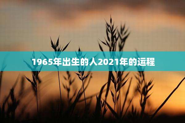 1965年出生的人2021年的运程