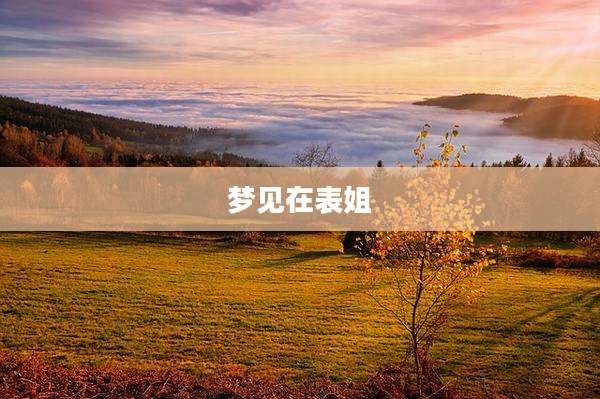 梦见在表姐