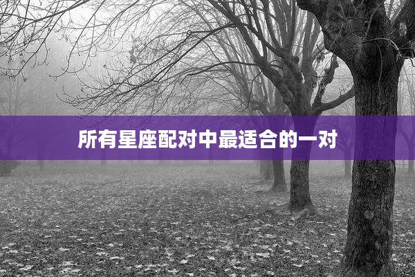 所有星座配对中最适合的一对