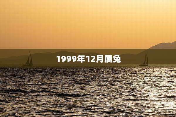 1999年12月属兔