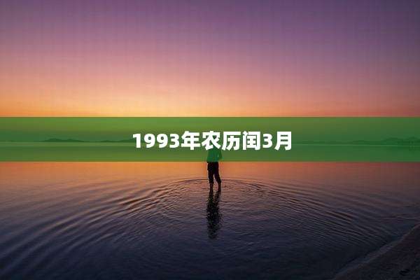 1993年农历闰3月