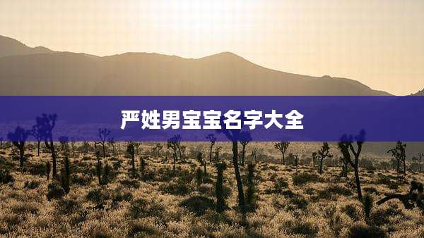 严姓男宝宝名字大全