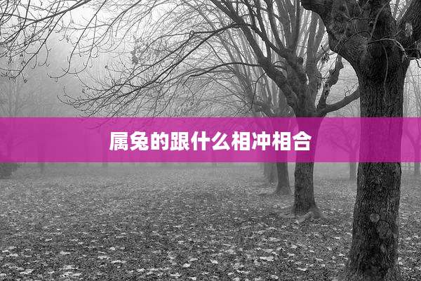 属兔的跟什么相冲相合