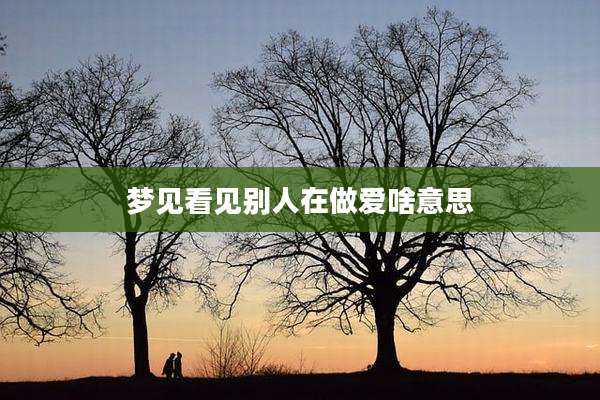 梦见看见别人在***啥意思