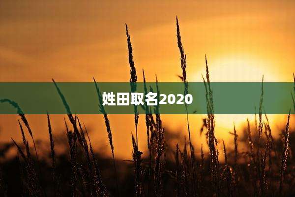 姓田取名2020