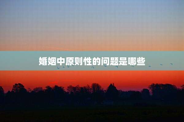 婚姻中原则性的问题是哪些