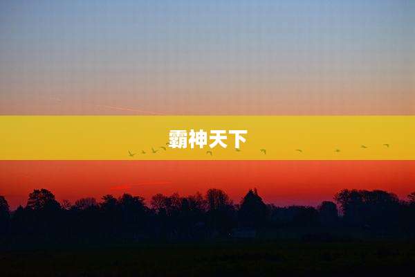 霸神天下