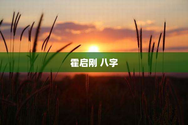 霍启刚 八字