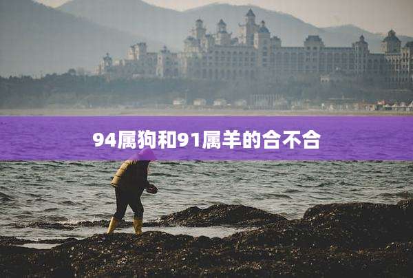 94属狗和91属羊的合不合
