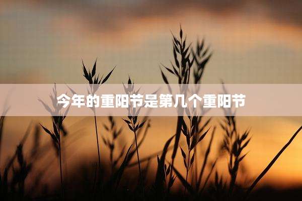今年的重阳节是第几个重阳节
