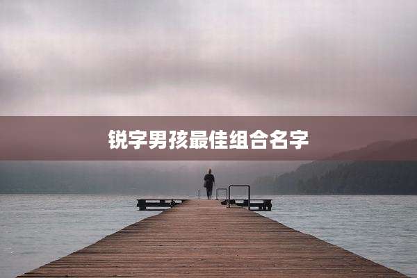 锐字男孩最佳组合名字