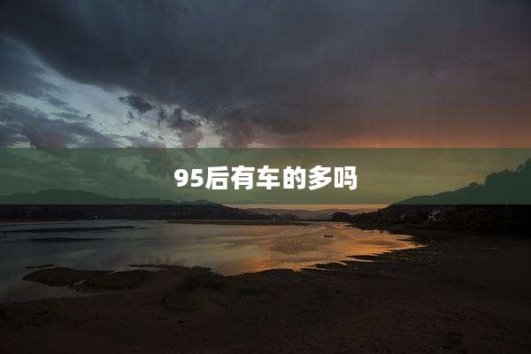 95后有车的多吗