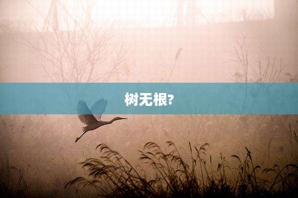 树无根?