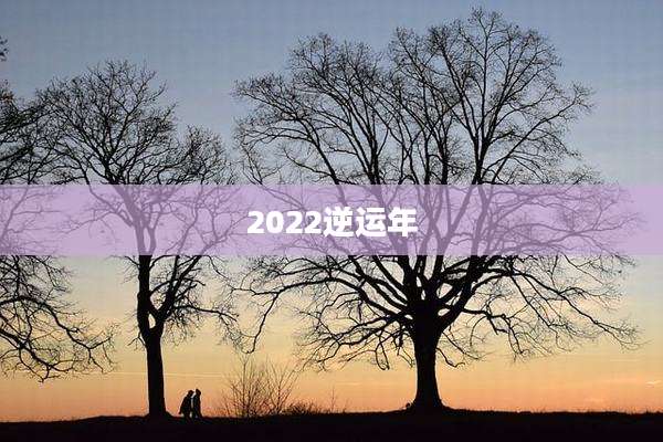 2022逆运年