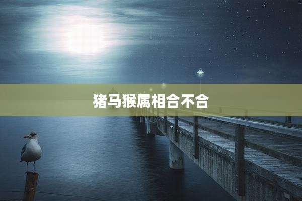 猪马猴属相合不合