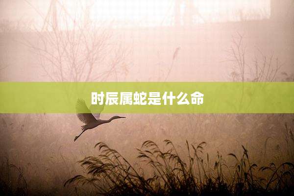 时辰属蛇是什么命