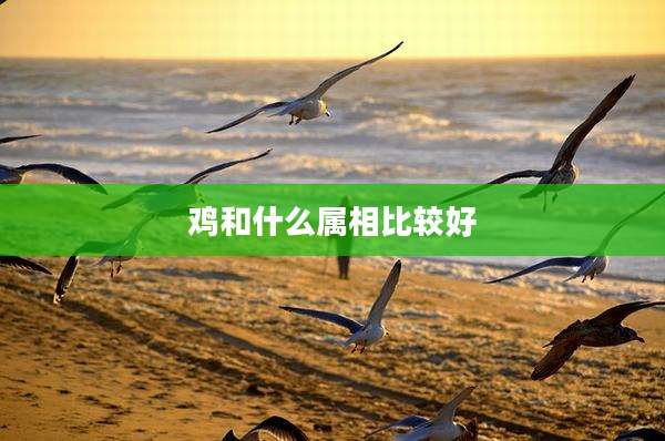 鸡和什么属相比较好