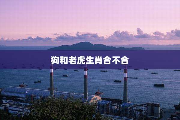 狗和老虎生肖合不合
