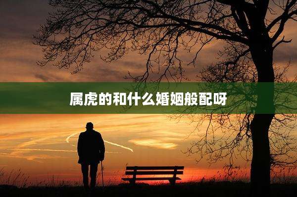 属虎的和什么婚姻般配呀